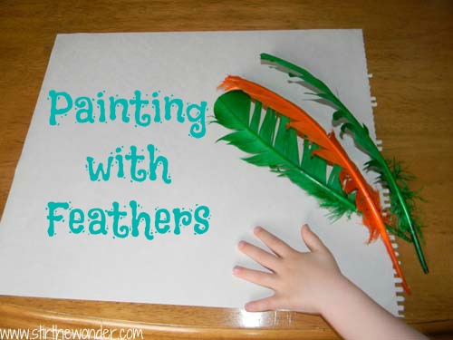Painting with Feathers Stir The Wonder