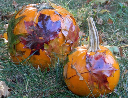 nature decorated pumpkins
