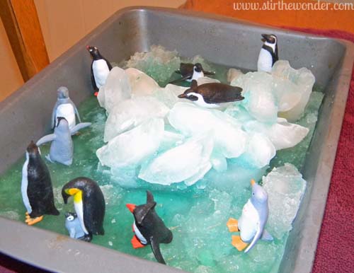 ice penguins 5