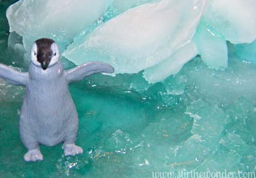 ice penguins2