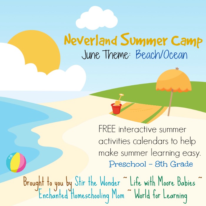 Neverland Summer Camp June 2014