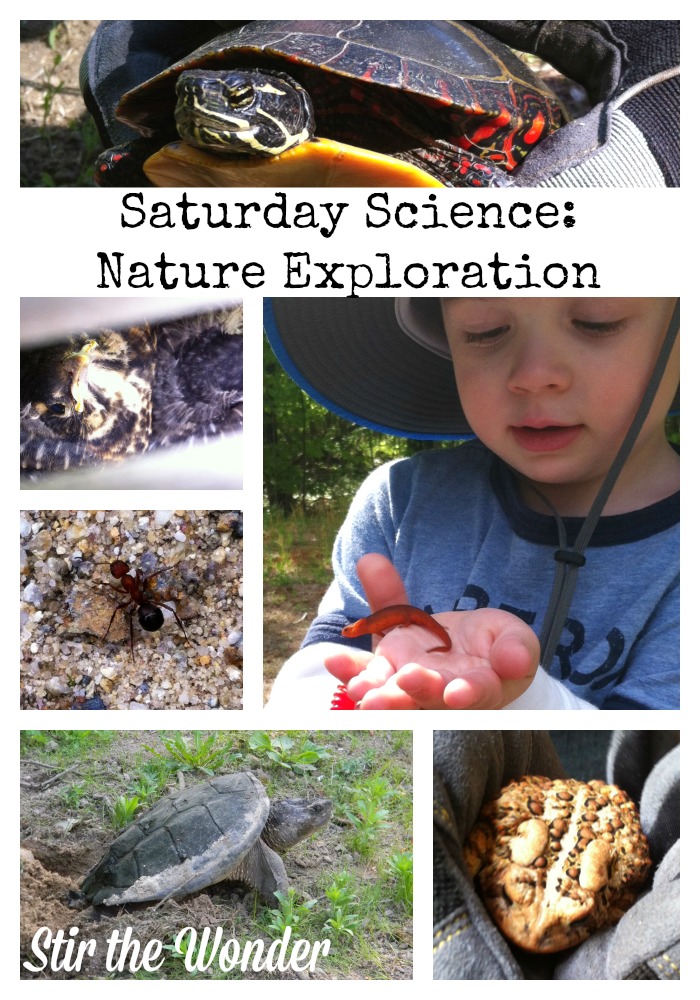 Saturday Science: Nature Exploration | Stir the Wonder #kbn #childledlearning #nature