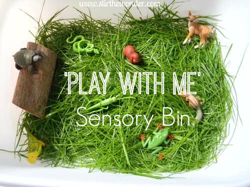 play with me sensory bin 3