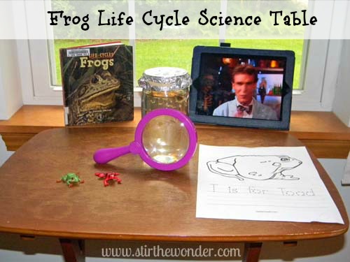 Frog Life Cycle Science Table | Stir the Wonder