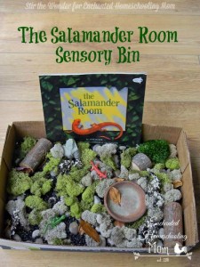 The Salamander Room Sensory Bin | Stir the Wonder for Enchanted Homeschooling Mom #sensory #bookinspired