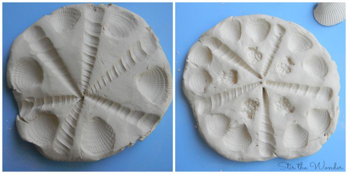 Clay mandalas with shell impressions