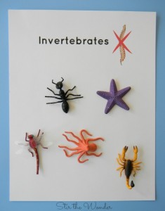 Invertebrates Printable Page