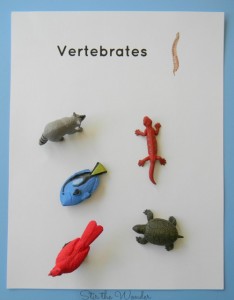 vertebrates page
