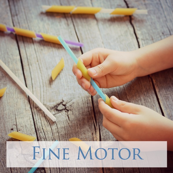 Here you will find over 100 fine motor activities to encourage this important skill in your toddler or preschooler!