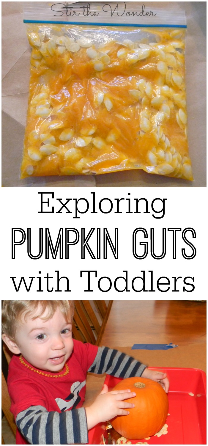 Allow your toddler to freely and safely explore pumpkin guts with this mess-free pumpkin guts sensory bag!