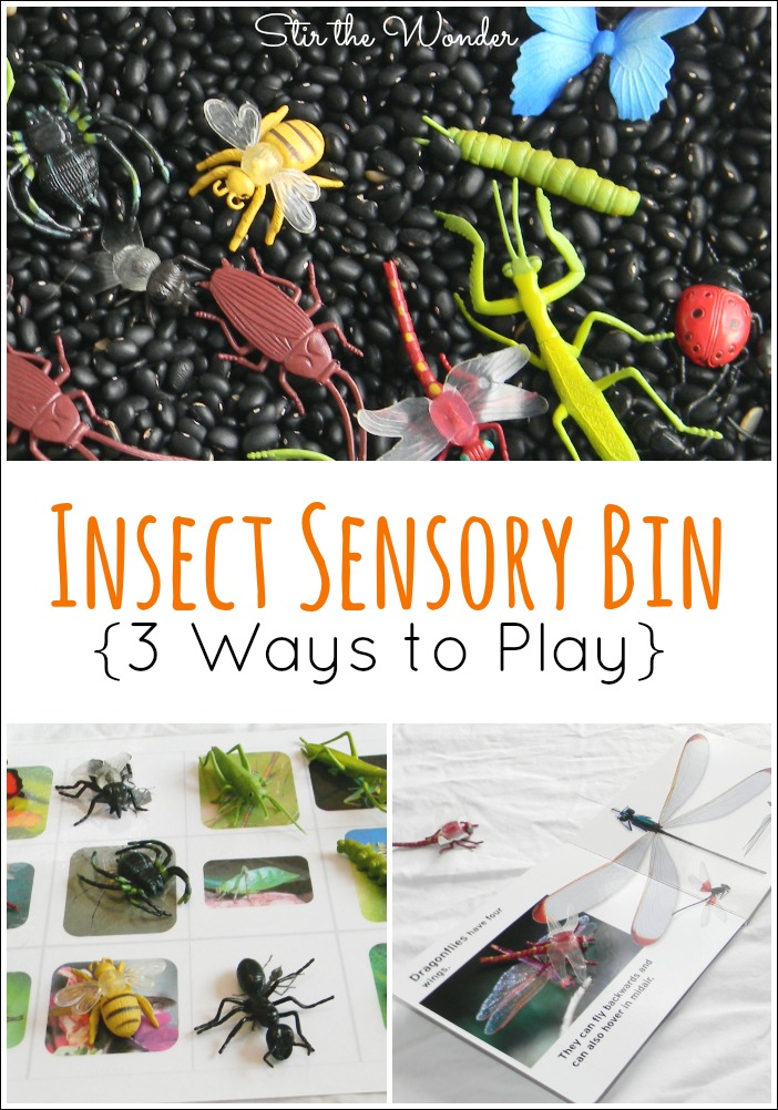 Insect Sensory Bin
