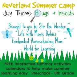 July Neverland Summer Camp (Preschool & Kindergarten) Calendar- Insect Theme