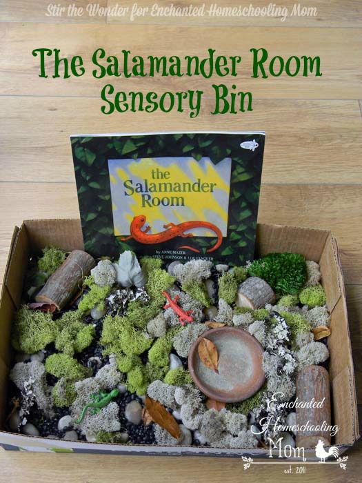 The Salamander Room Sensory Bin