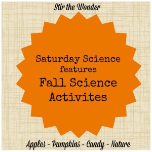 Saturday Science features Fall Science Activities | Stir the Wonder #kbn #science #fall #preschool