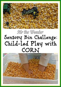 Sensory Bin Challenge: Child-led Play with Corn | Stir the Wonder #sensoryplay #childled
