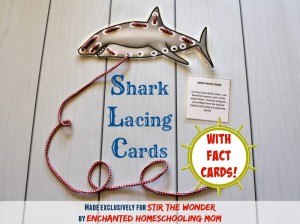 FREE Shark Lacing Cards