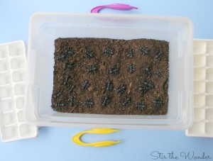 Counting Ants Fine Motor Sensory Game