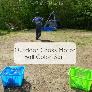 Outdoor Gross Motor Ball Color Sort Game
