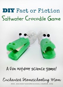 DIY Fact or Fiction Saltwater Crocodile Game from Enchanted Homeschooling Mom!