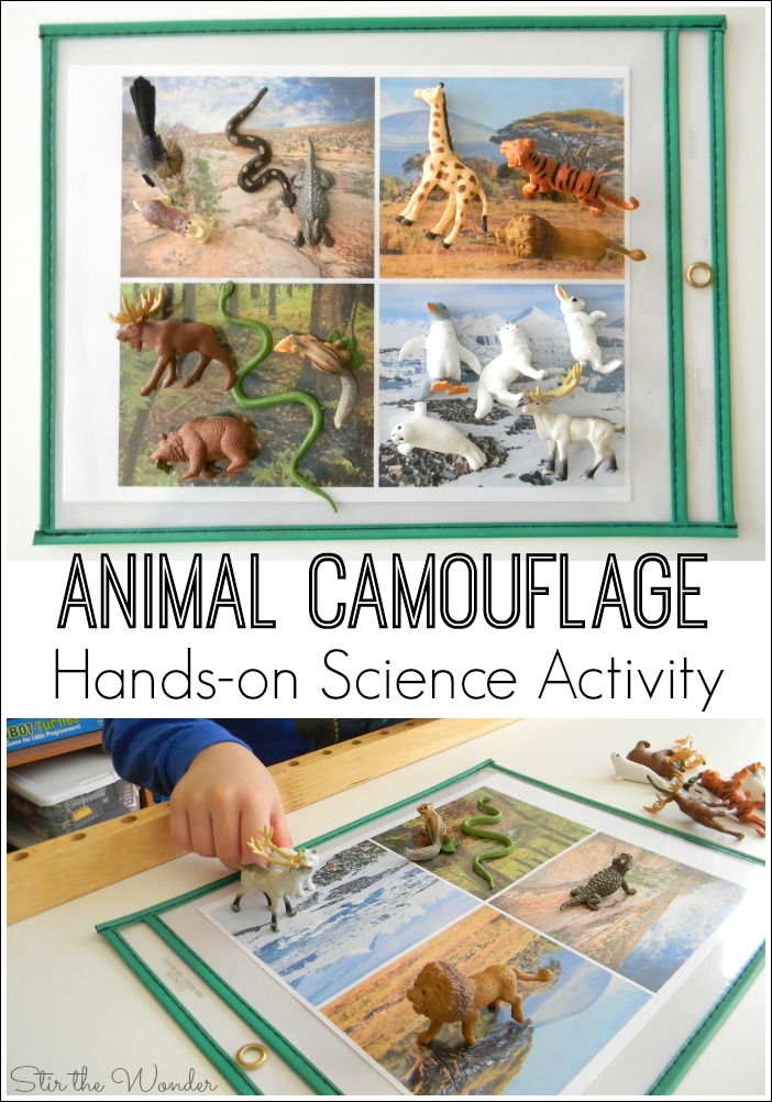 If your kiddos are interested in learning about animals, this Animal Camouflage Hands-on Science Activity will sure to delight!