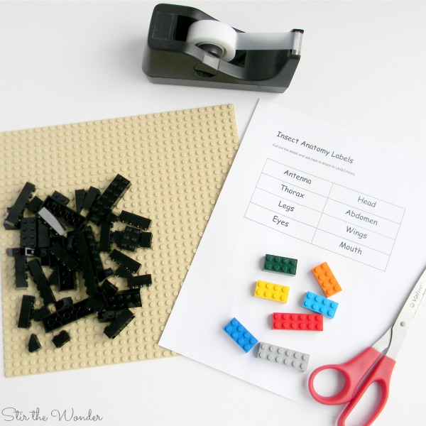 Supplies for LEGO Insect Anatomy labeling activity