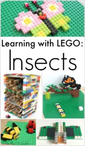 Learning about insects can be made fun and hands-on using LEGO!